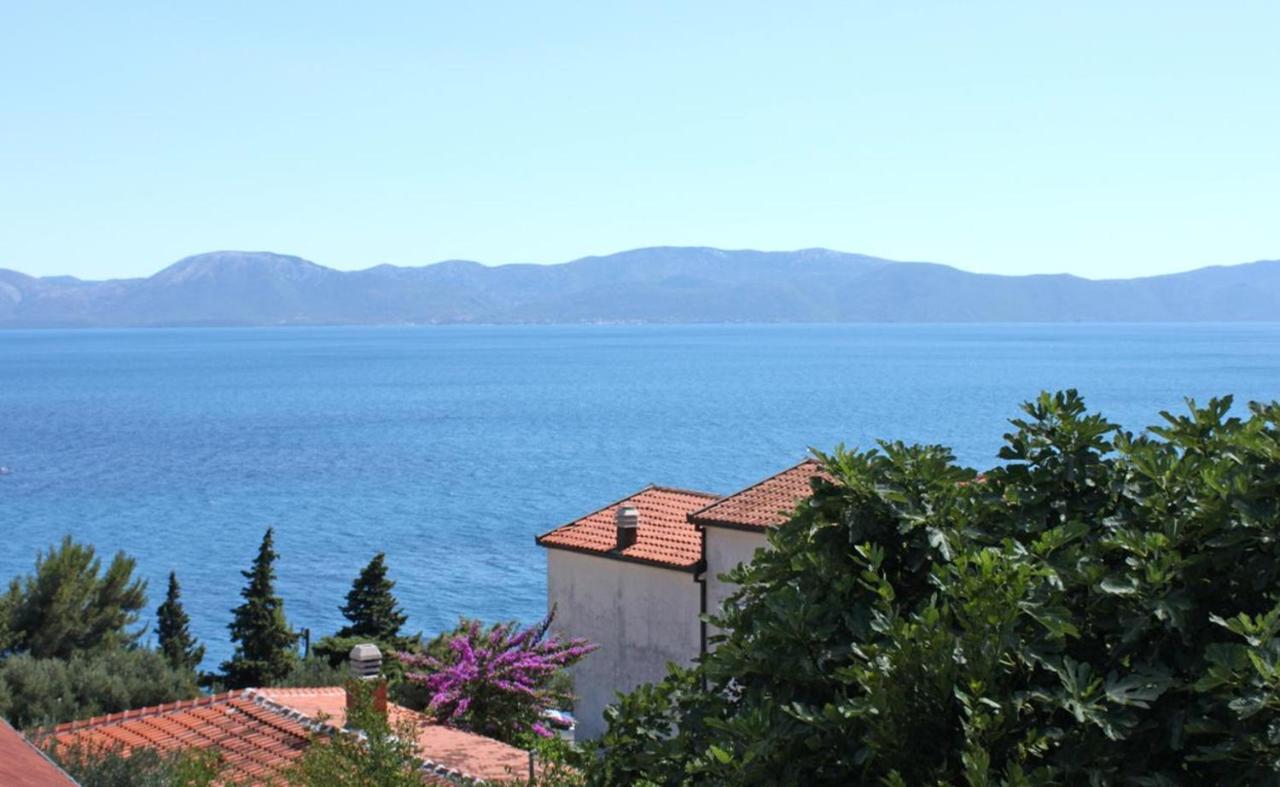 Hotel Vila Stefan Podaca Exteriér fotografie